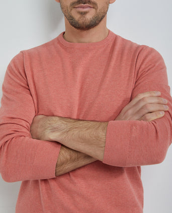 Crew Neck Sweater with Logo | Terra