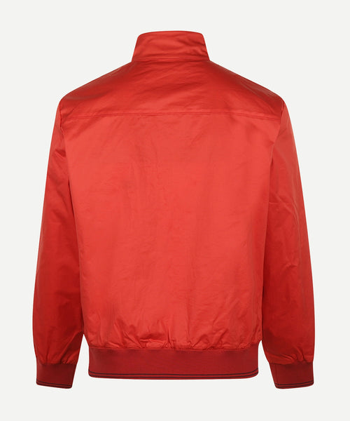 Bomber Jacket Cotton | Terra